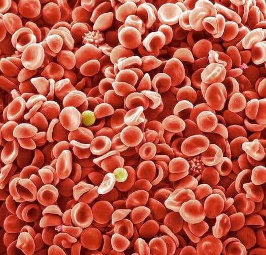 blood-cell